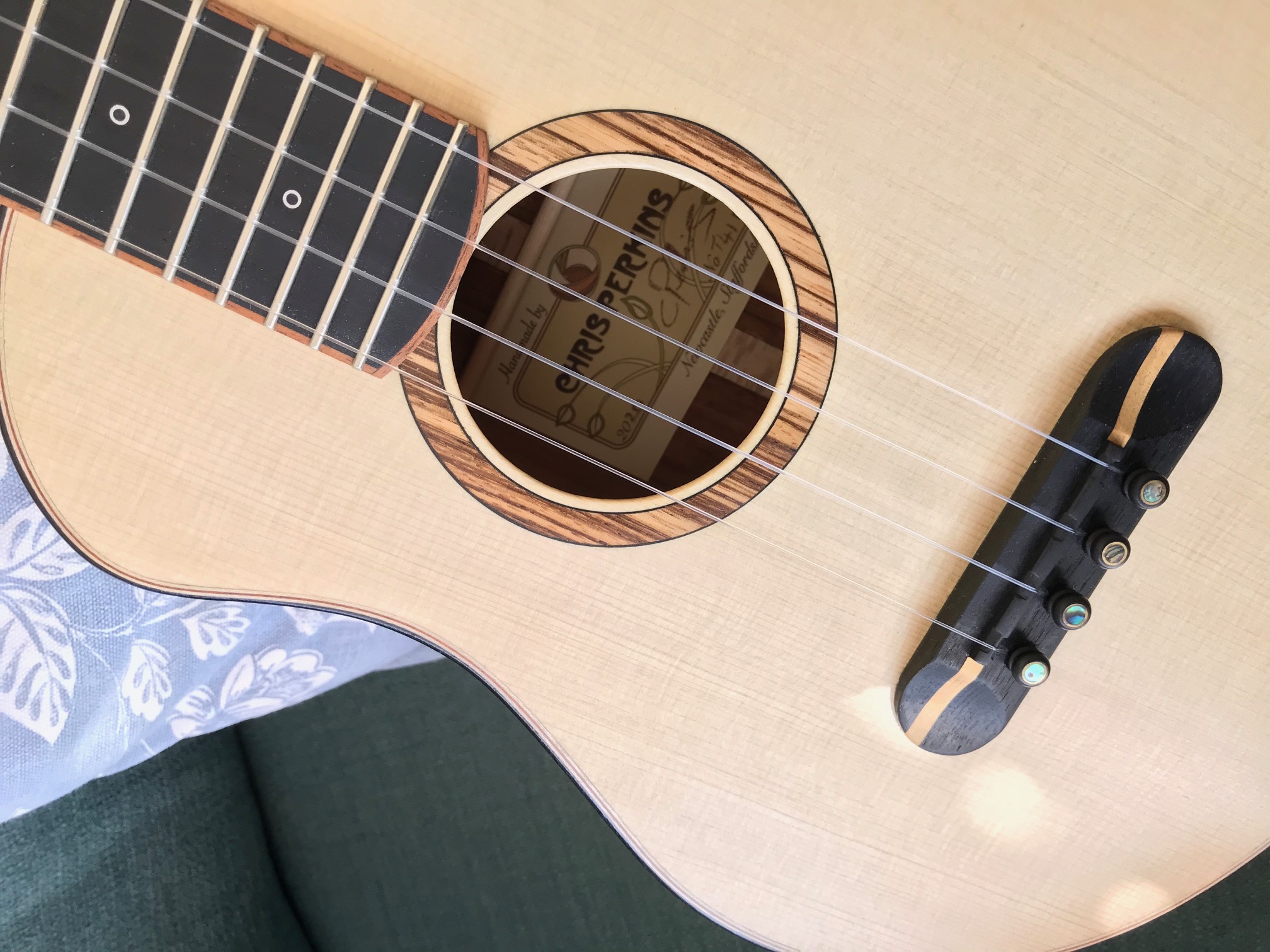 Mandolin specialist near me